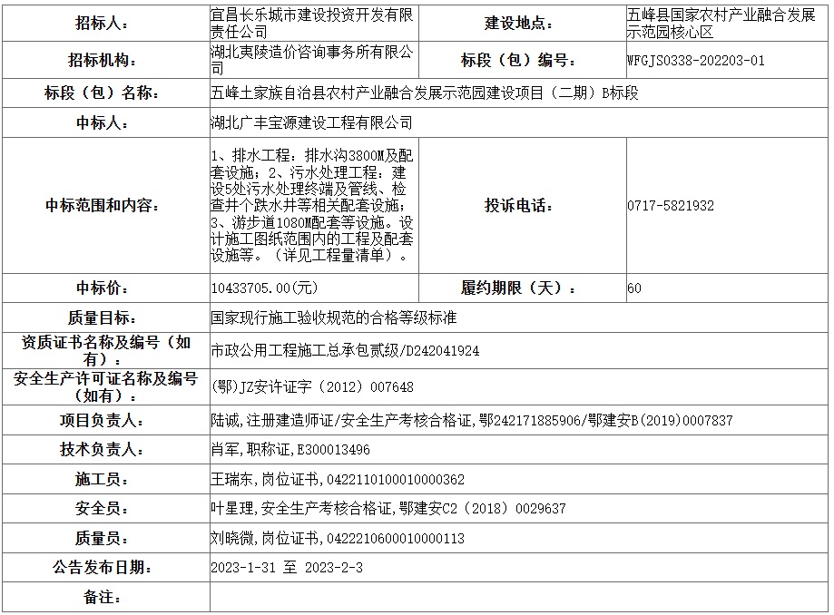 screencapture-ggzyjy-hbwf-gov-cn-wfSite-infodetail-2023-01-31-16_12_31